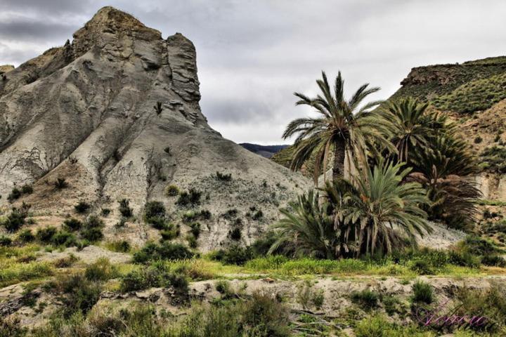 Alojamiento Las Dunas Bajo Tabernas Dış mekan fotoğraf